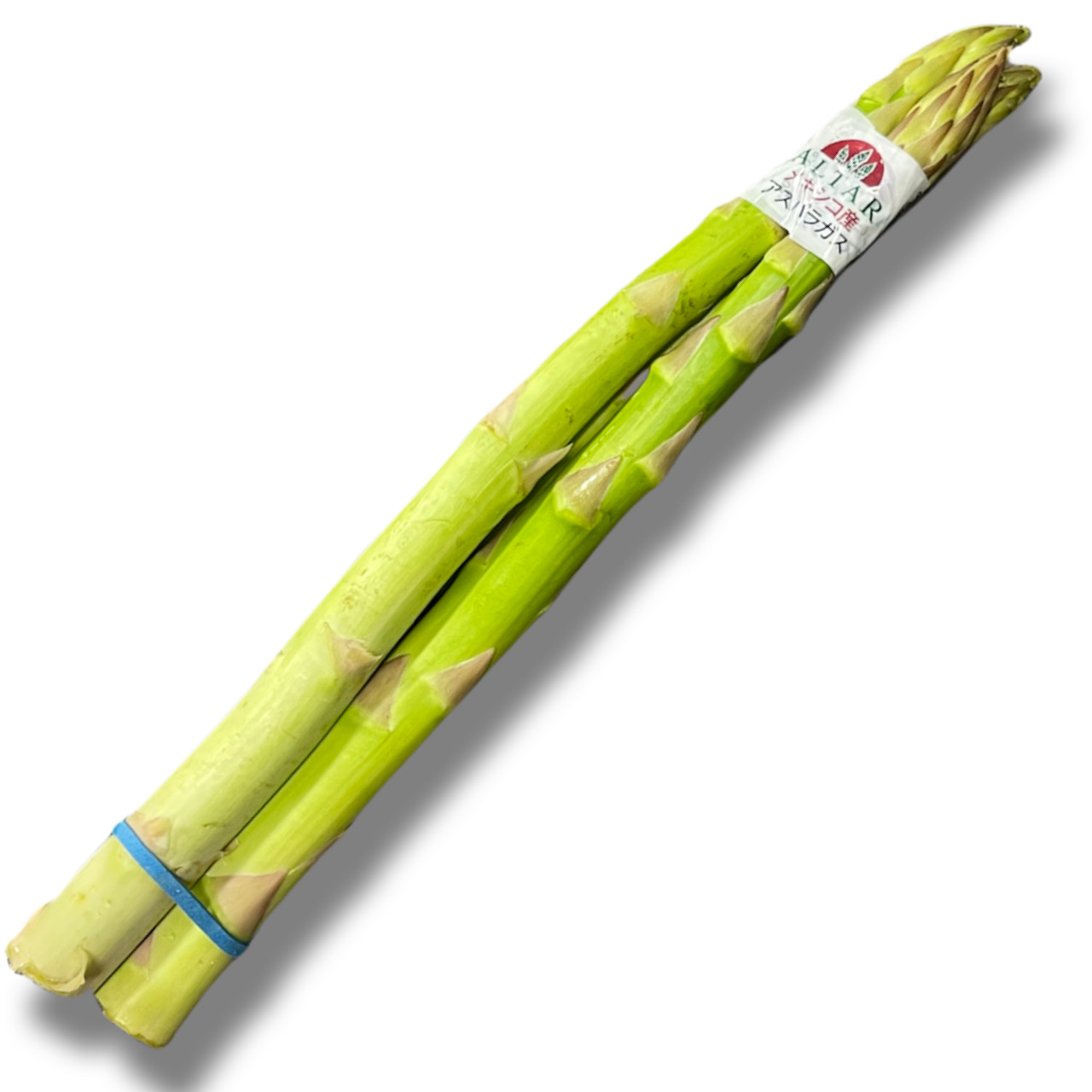 AXp/asparagus
