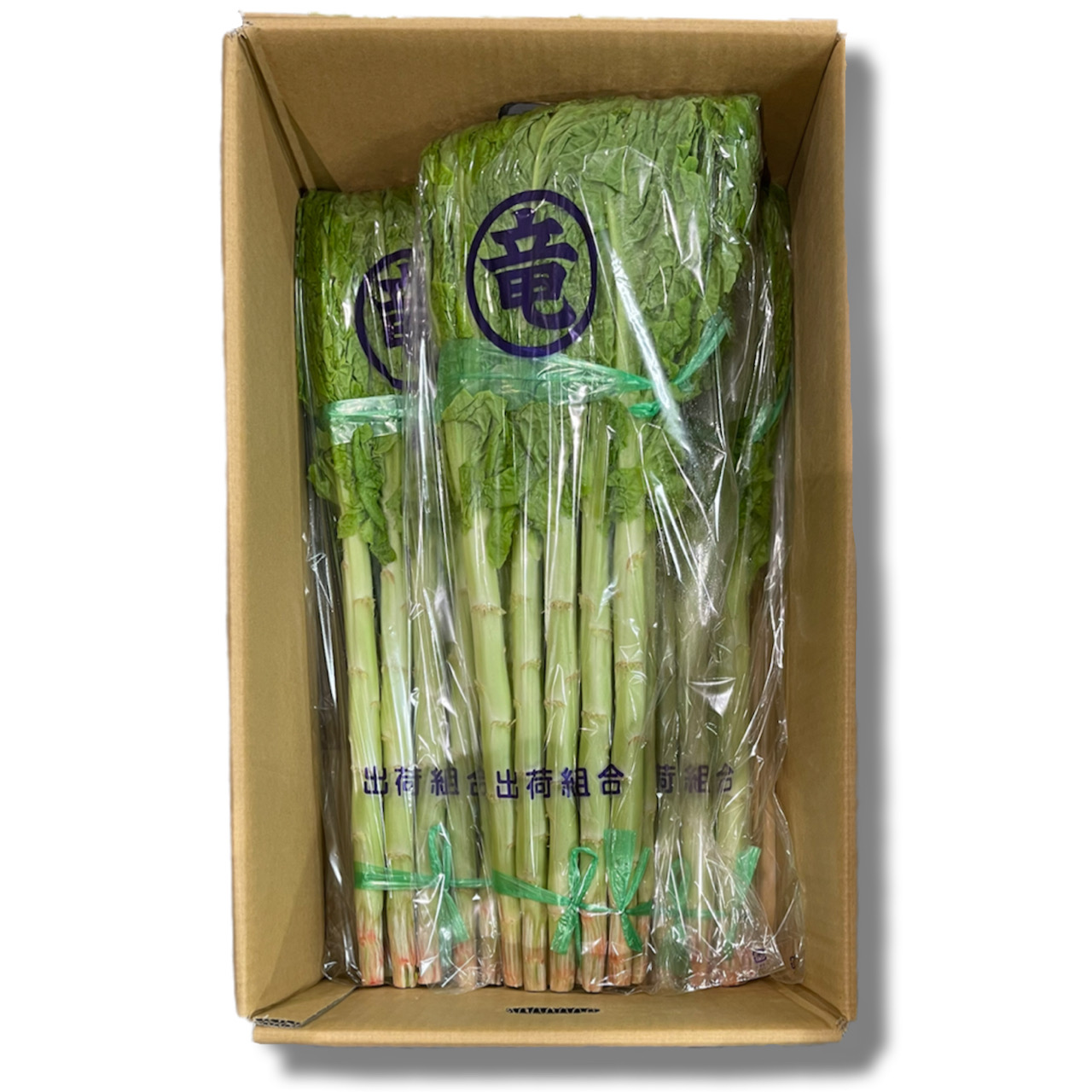 `VgE/Japanese stem lettuce