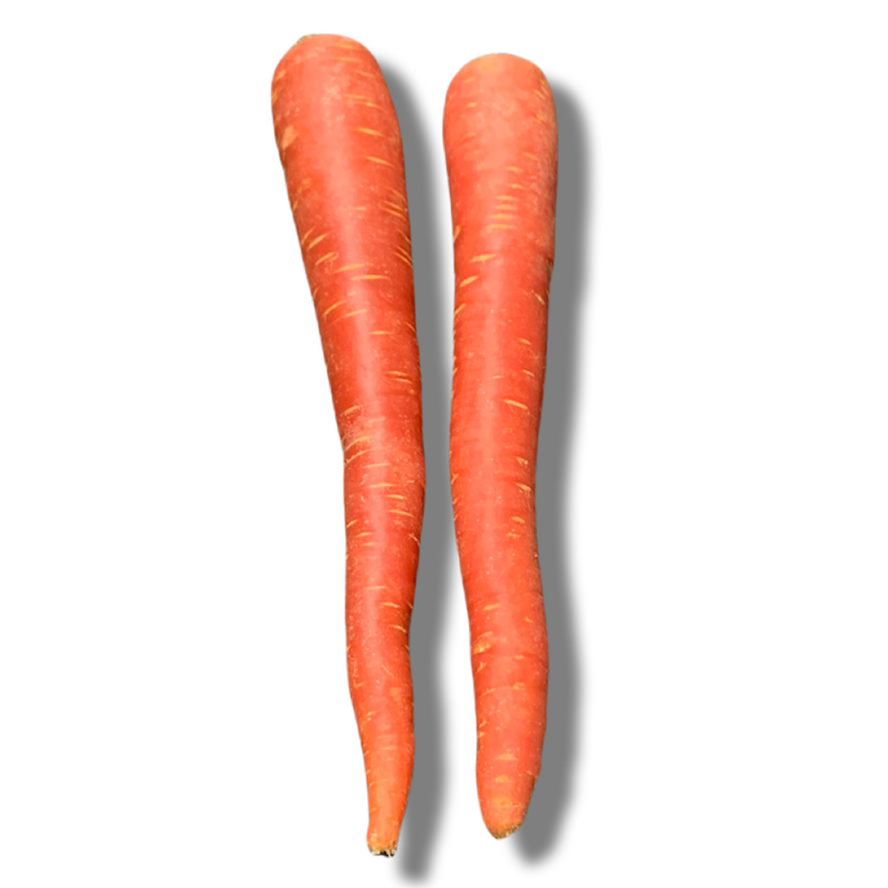 lQ/KINTOKI Carrot