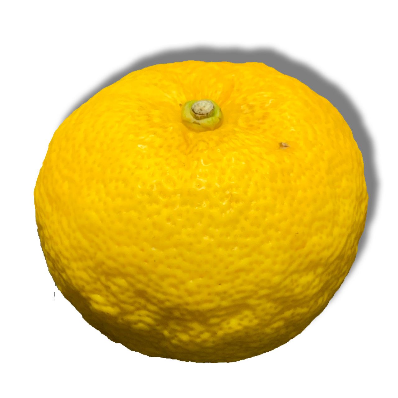 Mq/Yuzu citrus