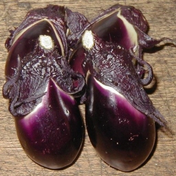 RiX/Mini eggplants