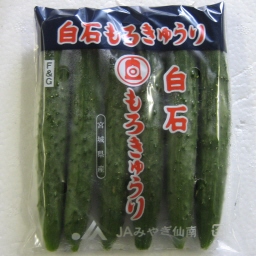 LE/Mini Cucumber