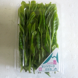 ̗t/Green tea leaves