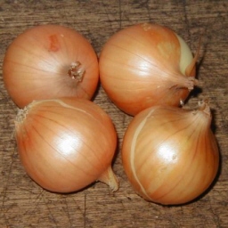 yR/small onion