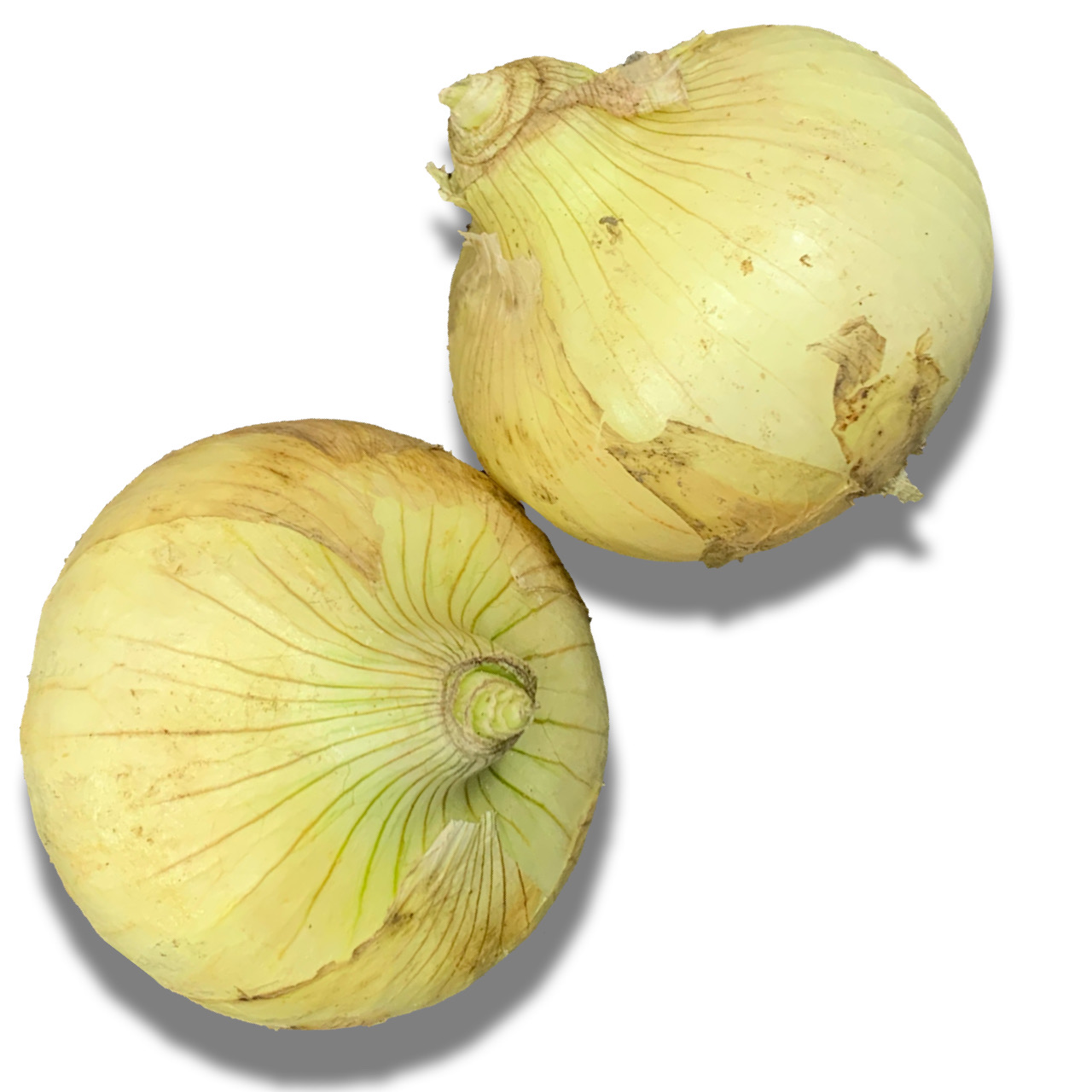 VʔK/Seasonal green onion
