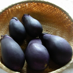 ֎q/Terajima Eggplants